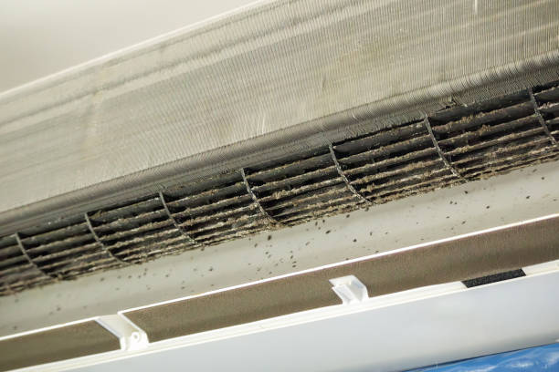 Best Emergency Air Duct Cleaning  in Summit, IL